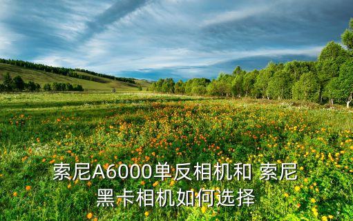  索尼A6000单反相机和 索尼 黑卡相机如何选择