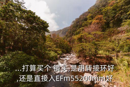 ...打算买个 镜头,是用转接环好,还是直接入EFm55200mm好