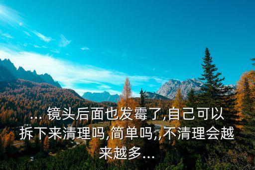 ... 镜头后面也发霉了,自己可以拆下来清理吗,简单吗,,不清理会越来越多...