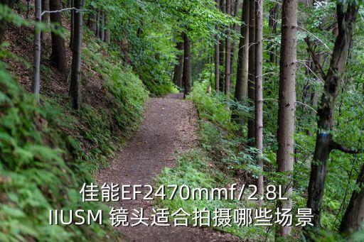  佳能EF2470mmf/2.8LIIUSM 镜头适合拍摄哪些场景