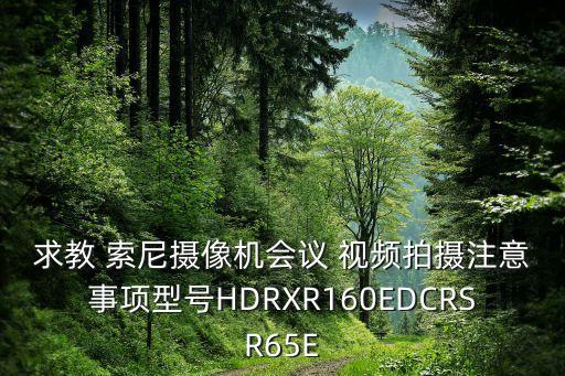 求教 索尼摄像机会议 视频拍摄注意事项型号HDRXR160EDCRSR65E