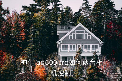  神牛 ad600pro如何两台相机控制