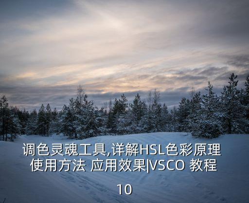 调色灵魂工具,详解HSL色彩原理 使用方法 应用效果VSCO 教程10