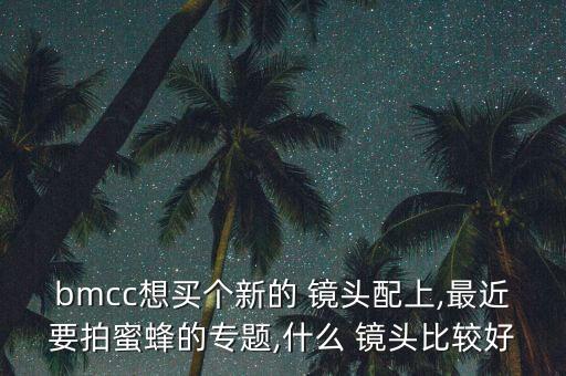 bmcc想买个新的 镜头配上,最近要拍蜜蜂的专题,什么 镜头比较好