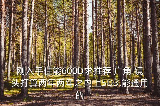 刚入手佳能600D求推荐 广角 镜头打算两年两年之内上5D3,能通用的