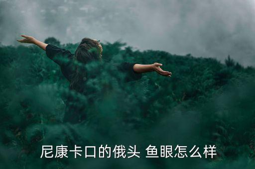  尼康卡口的俄头 鱼眼怎么样