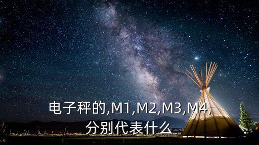 电子秤的,M1,M2,M3,M4,分别代表什么