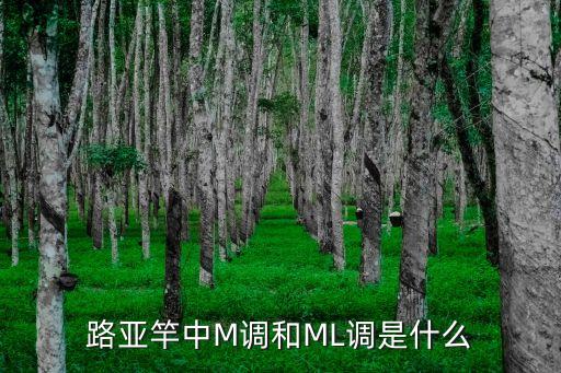 路亚竿中M调和ML调是什么