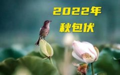 2022年是秋包伏还是伏包秋，秋包伏与伏包秋的区