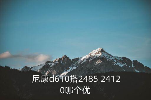  尼康d610搭2485 24120哪个优