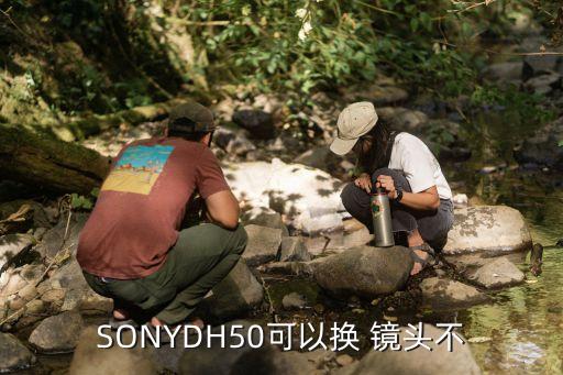 SONYDH50可以换 镜头不