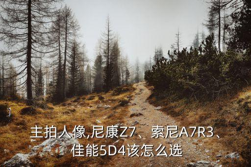 主拍人像,尼康Z7、索尼A7R3、 佳能5D4该怎么选