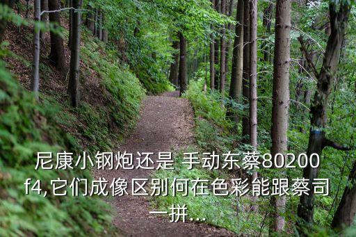 尼康小钢炮还是 手动东蔡80200f4,它们成像区别何在色彩能跟蔡司一拼...