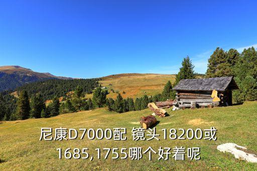 尼康D7000配 镜头18200或1685,1755哪个好着呢