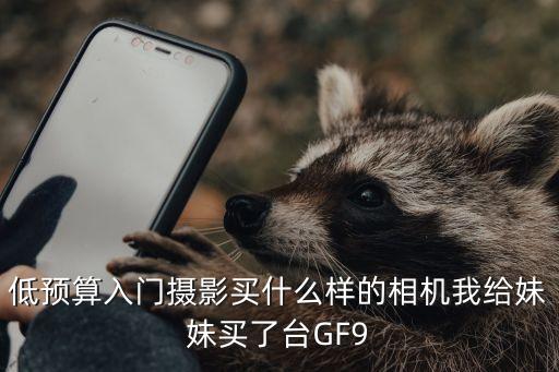 低预算入门摄影买什么样的相机我给妹妹买了台GF9