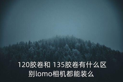  120胶卷和 135胶卷有什么区别lomo相机都能装么