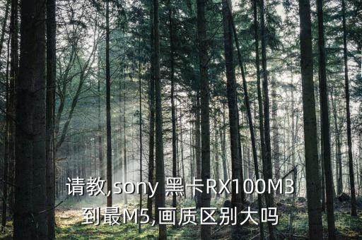 请教,sony 黑卡RX100M3到最M5,画质区别大吗