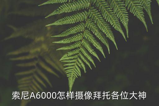 索尼A6000怎样摄像拜托各位大神