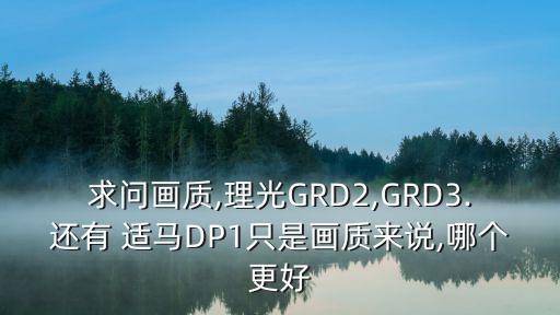 求问画质,理光GRD2,GRD3.还有 适马DP1只是画质来说,哪个更好