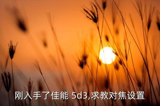 刚入手了佳能 5d3,求教对焦设置