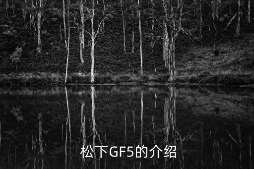  松下GF5的介绍