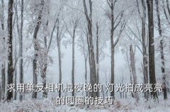 晚上拍灯光技巧,如何在夜间拍摄-可参考以下四张