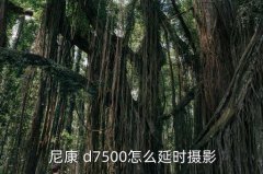 尼康慢门拍摄技巧 d750,三大拍摄功能助你捕捉精