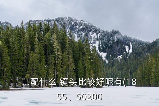 ...配什么 镜头比较好呢有(1855、50200