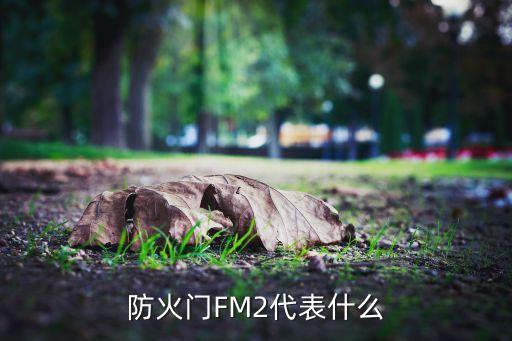 防火门FM2代表什么