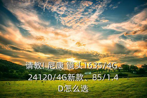 请教! 尼康 镜头1635/4G、24120/4G新款、85/1.4D怎么选