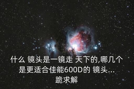 什么 镜头是一镜走 天下的,哪几个是更适合佳能600D的 镜头...跪求解