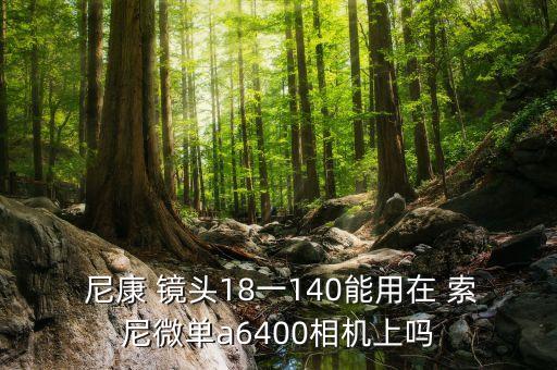  尼康 镜头18一140能用在 索尼微单a6400相机上吗