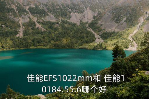  佳能EFS1022mm和 佳能10184.55.6哪个好