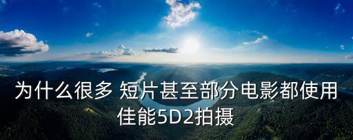 为什么很多 短片甚至部分电影都使用佳能5D2拍摄