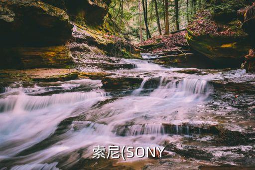  索尼(SONY