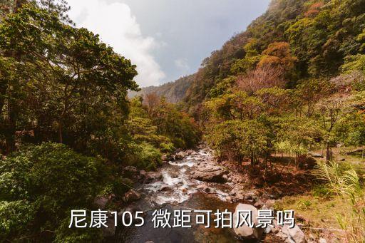 尼康105 微距可拍风景吗