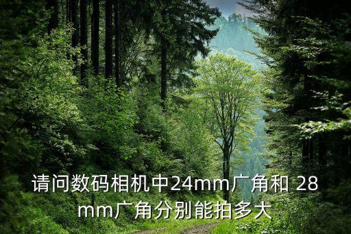 请问数码相机中24mm广角和 28mm广角分别能拍多大