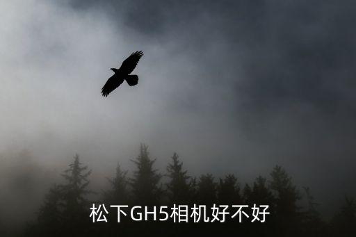  松下GH5相机好不好