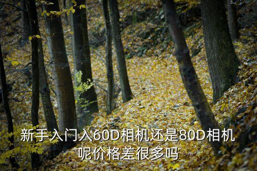 新手入门入60D相机还是80D相机呢价格差很多吗