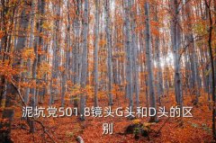 d1.8什么意思