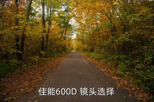 佳能600D 镜头选择