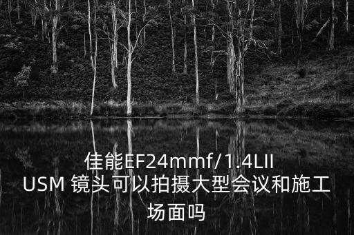  佳能EF24mmf/1.4LIIUSM 镜头可以拍摄大型会议和施工场面吗