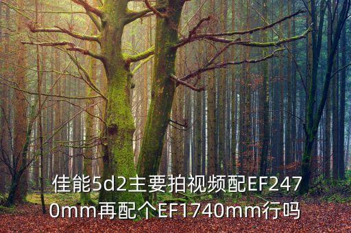  佳能5d2主要拍视频配EF2470mm再配个EF1740mm行吗