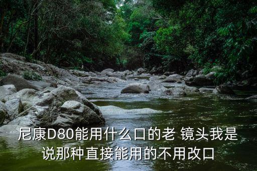 尼康D80能用什么口的老 镜头我是说那种直接能用的不用改口