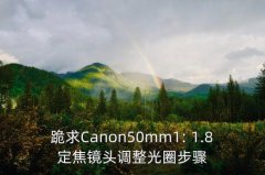 佳能50 1.8对焦技巧,佳能6d视频对焦技巧