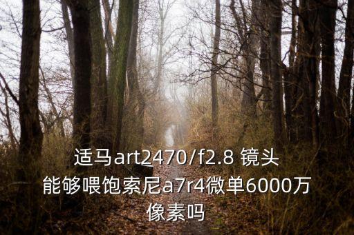 适马art2470/f2.8 镜头能够喂饱索尼a7r4微单6000万像素吗