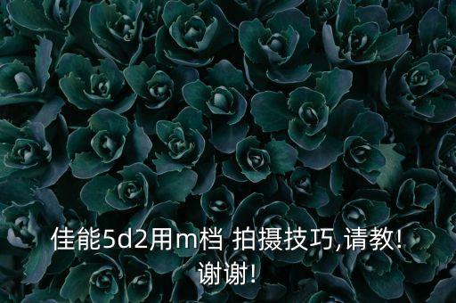 佳能5d2用m档 拍摄技巧,请教!谢谢!