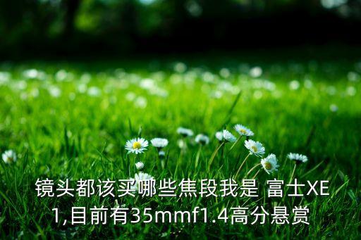  镜头都该买哪些焦段我是 富士XE1,目前有35mmf1.4高分悬赏