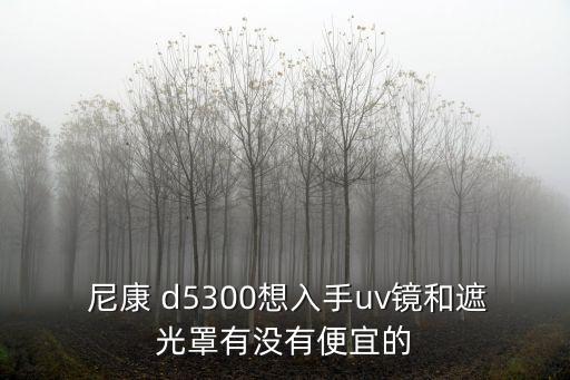  尼康 d5300想入手uv镜和遮光罩有没有便宜的