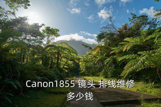 Canon1855 镜头 排线维修多少钱